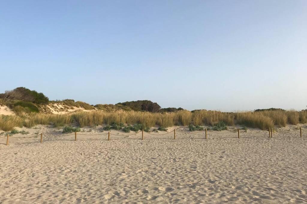 Staymenorca Redescubre La Paz * Son Parc